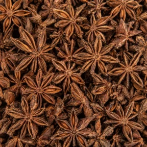 Badiane_étoilée